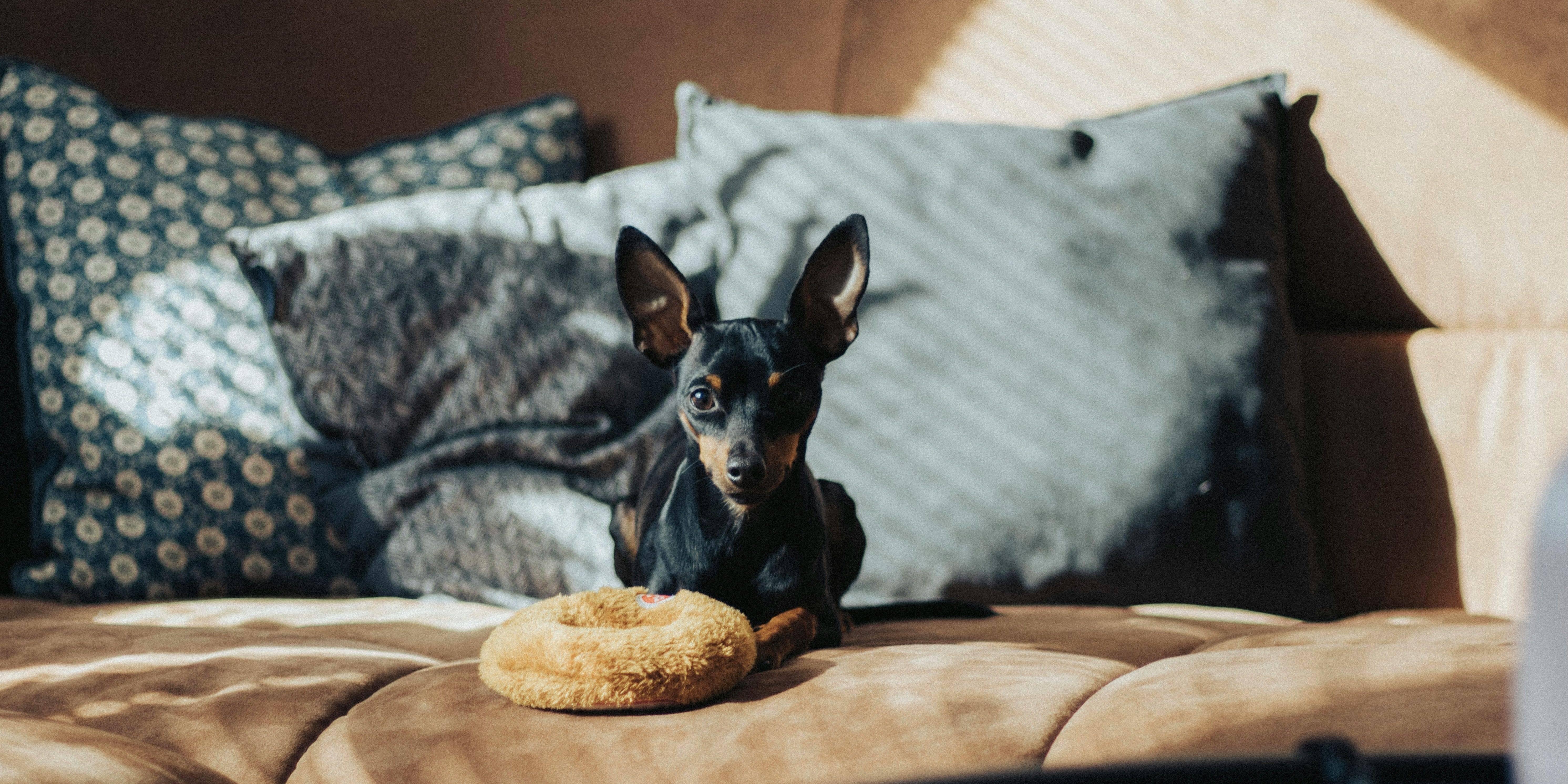 A Renting Platform with Soul