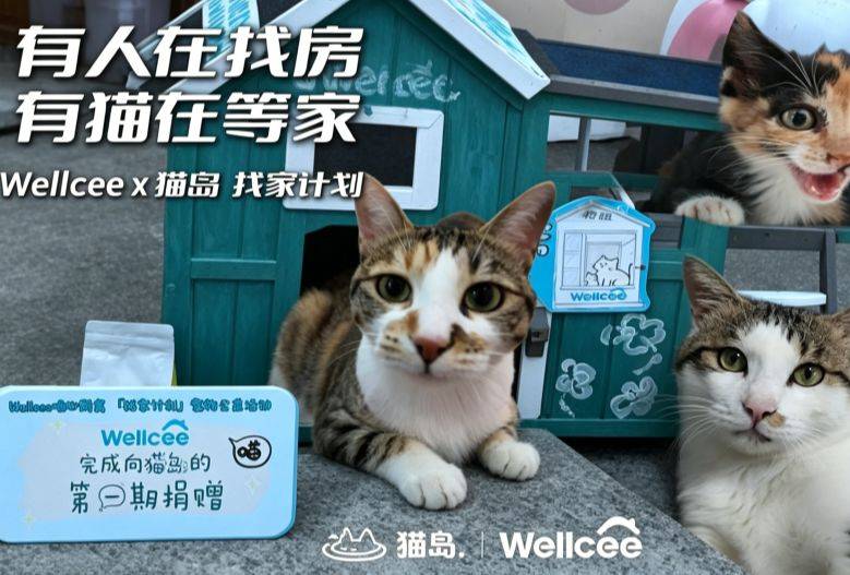 有人在找房，有猫在等家