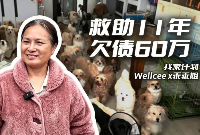 救助流浪猫11年，她把上海的房子都卖了
